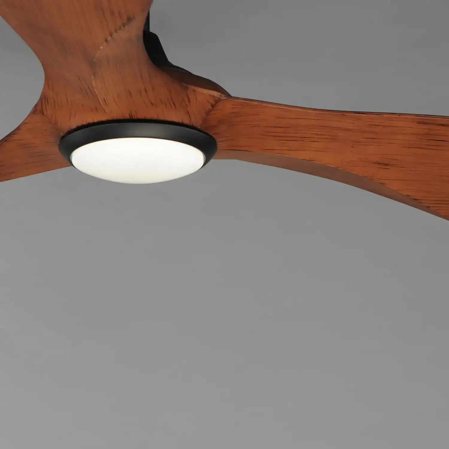 MAXIM, KEANU-OUTDOOR CEILING FAN, OUTDOOR CEILING FAN