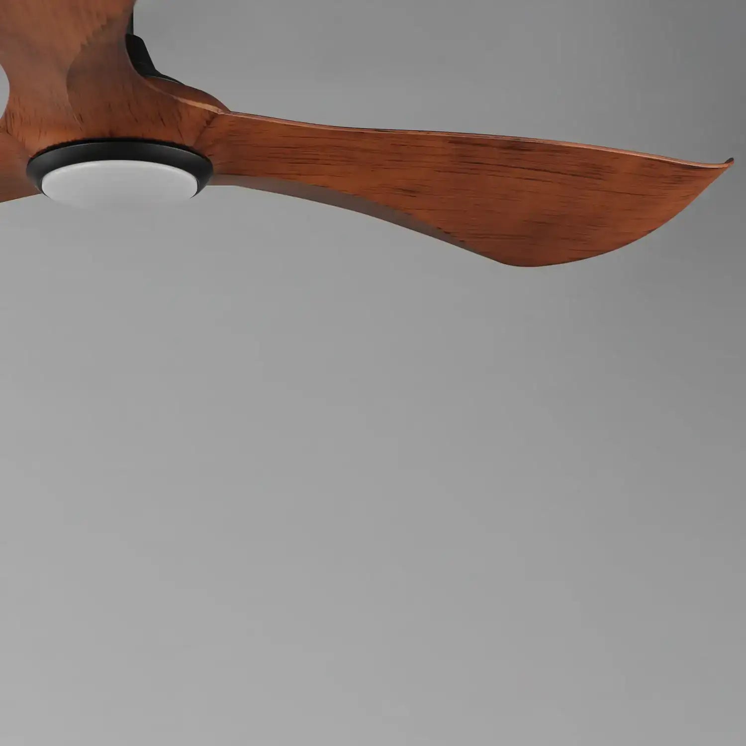 MAXIM, KEANU-OUTDOOR CEILING FAN, OUTDOOR CEILING FAN