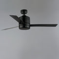 MAXIM, TANKER-INDOOR CEILING FAN, OUTDOOR CEILING LIGHTS