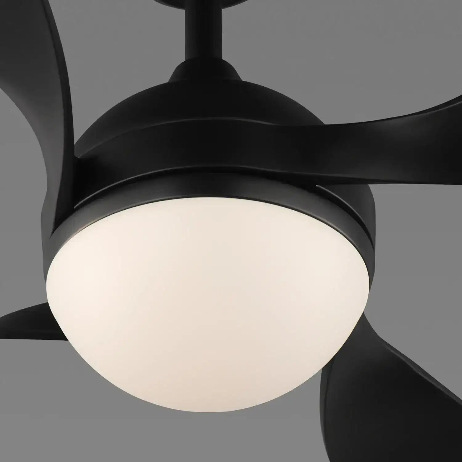 MAXIM BOLA-INDOOR CEILING FAN - Indoor