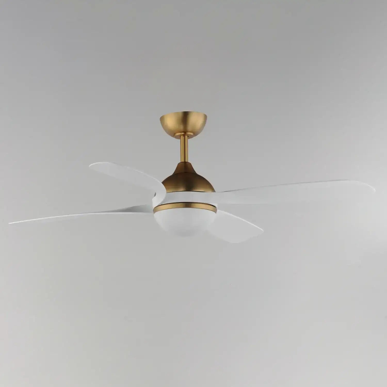 MAXIM BOLA-INDOOR CEILING FAN - Indoor