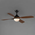 MAXIM BOLA-INDOOR CEILING FAN - Indoor