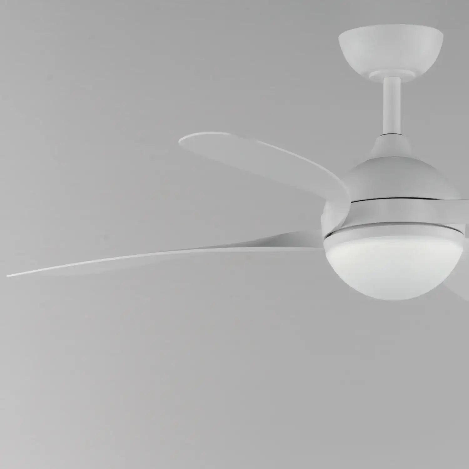 MAXIM, BOLA-INDOOR CEILING FAN, INDOOR CEILING FANS