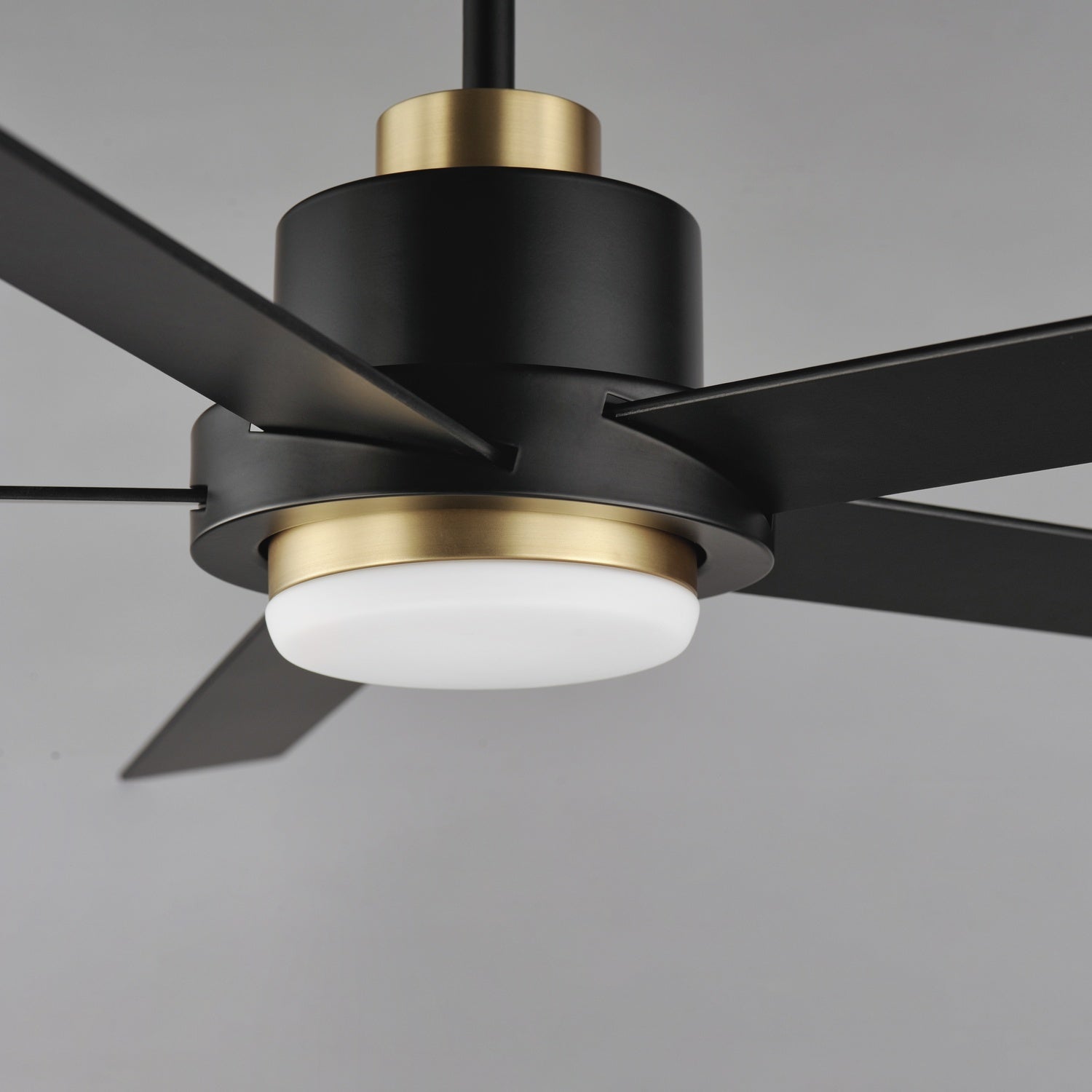 MAXIM, DAISY-INDOOR CEILING FAN, INDOOR CEILING FAN