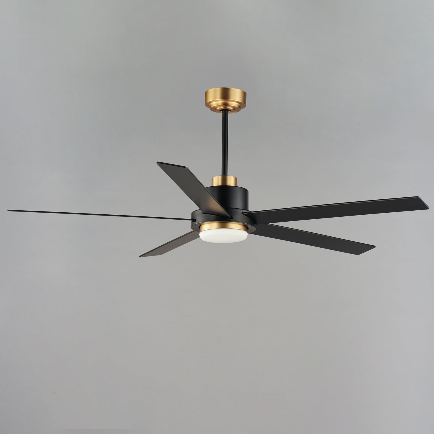 MAXIM, DAISY-INDOOR CEILING FAN, INDOOR CEILING FAN
