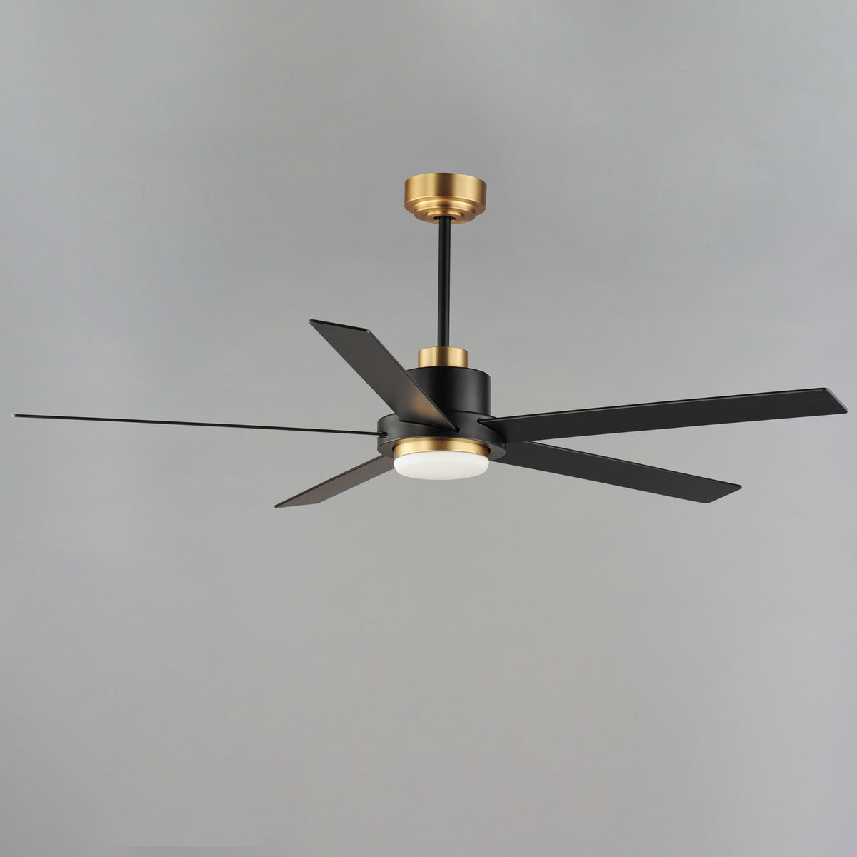 MAXIM, DAISY-INDOOR CEILING FAN, INDOOR CEILING FANS