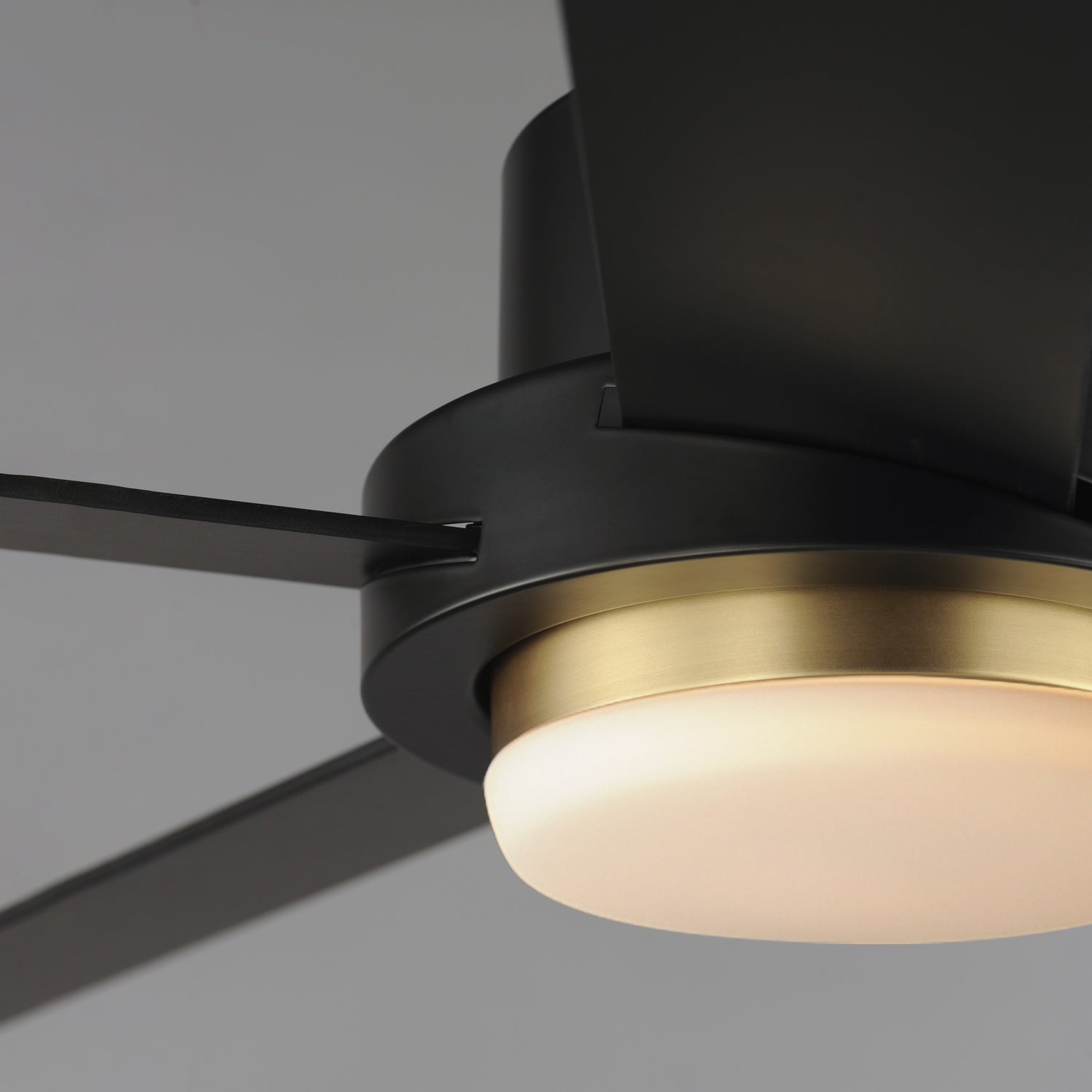 MAXIM, DAISY-INDOOR CEILING FAN, INDOOR CEILING FAN