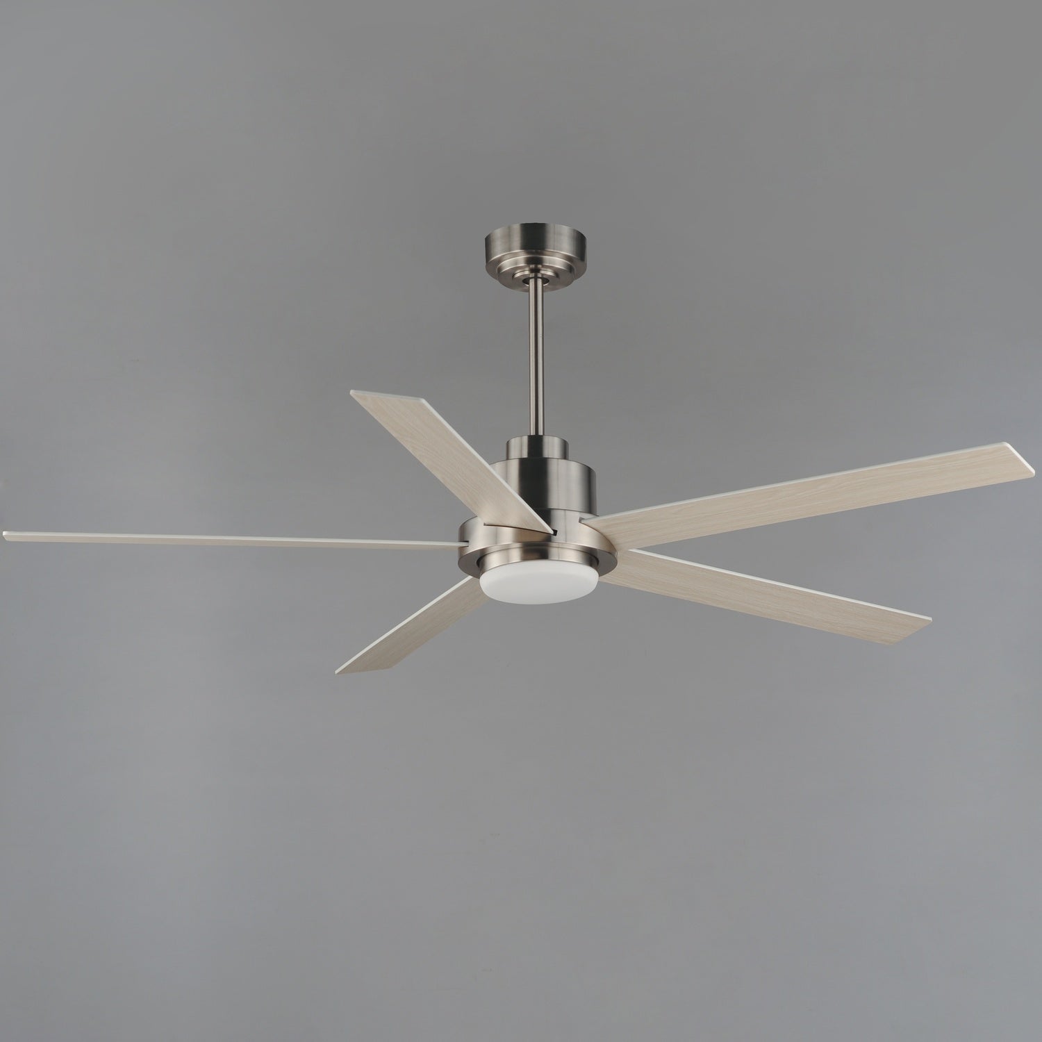 MAXIM, DAISY-INDOOR CEILING FAN, INDOOR CEILING FAN