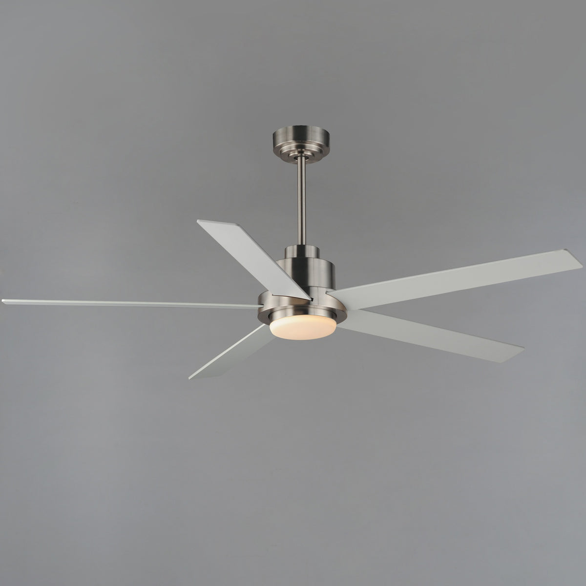 MAXIM, DAISY-INDOOR CEILING FAN, INDOOR CEILING FANS