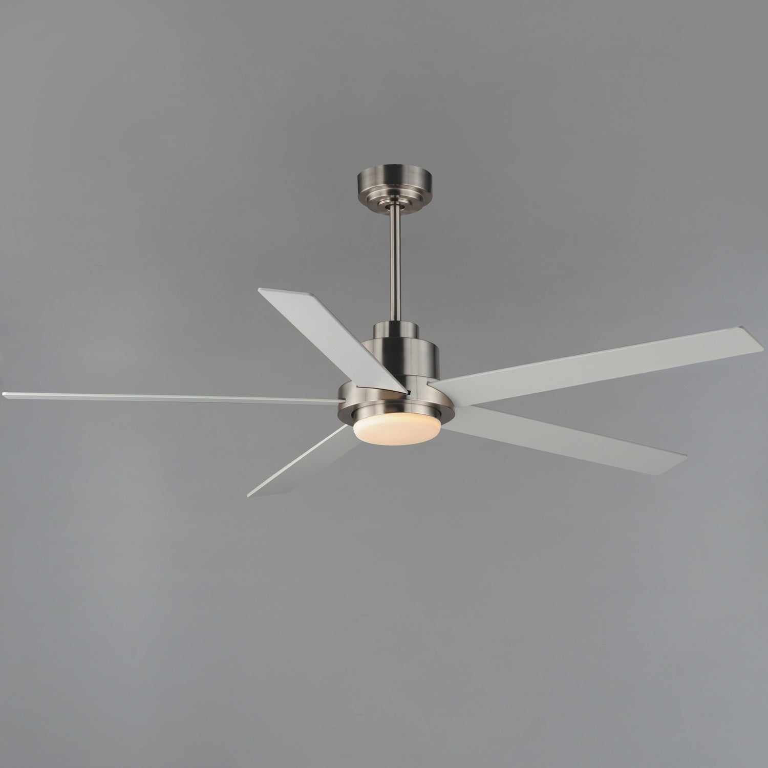 MAXIM, DAISY-INDOOR CEILING FAN, INDOOR CEILING FAN