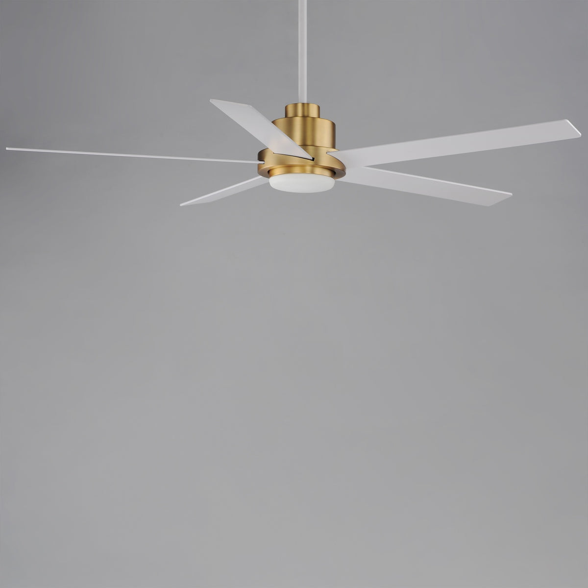 MAXIM, DAISY-INDOOR CEILING FAN, INDOOR CEILING FANS