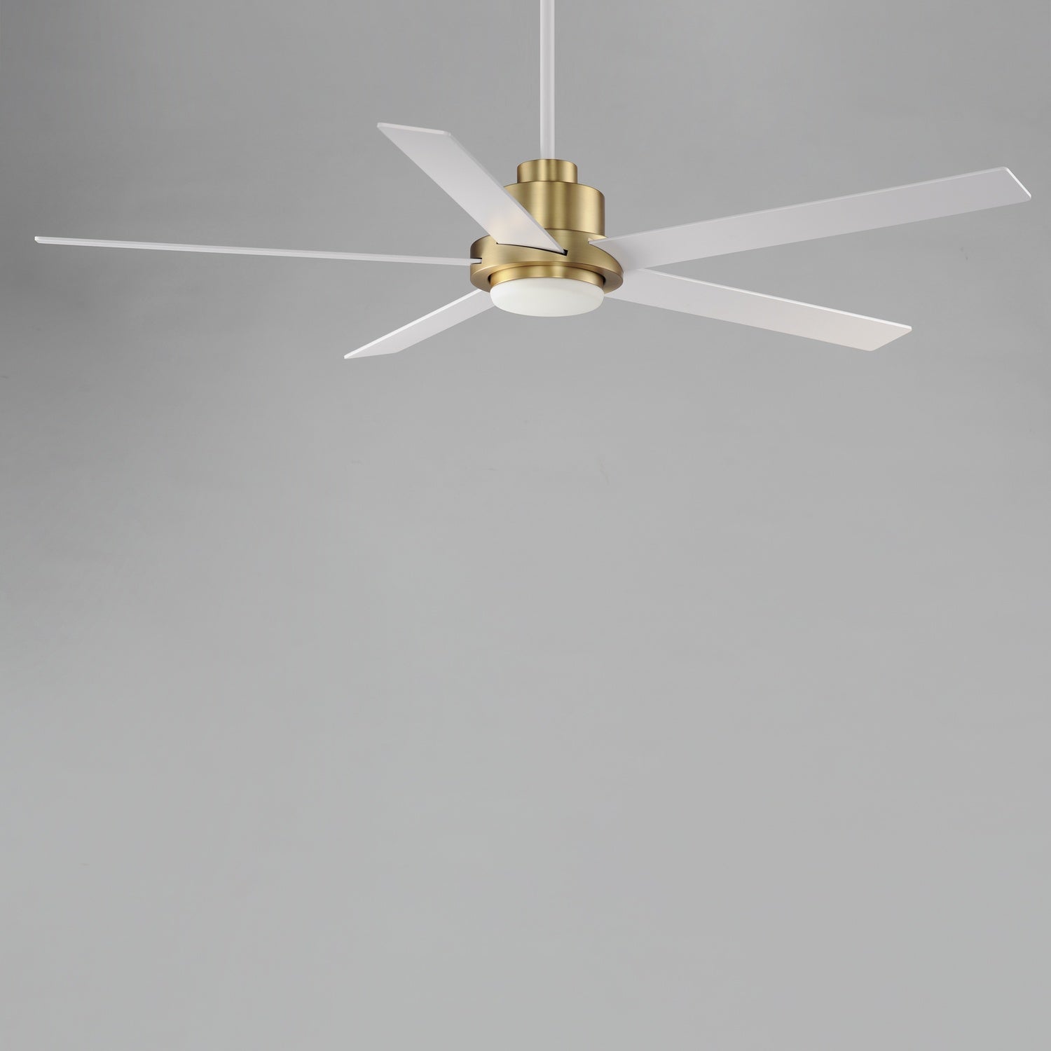 MAXIM, DAISY-INDOOR CEILING FAN, INDOOR CEILING FAN