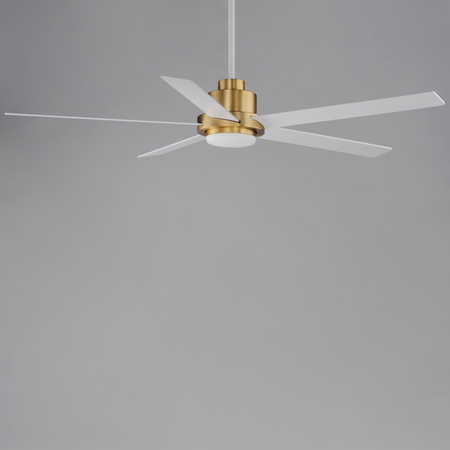 MAXIM, DAISY-INDOOR CEILING FAN, INDOOR CEILING FAN