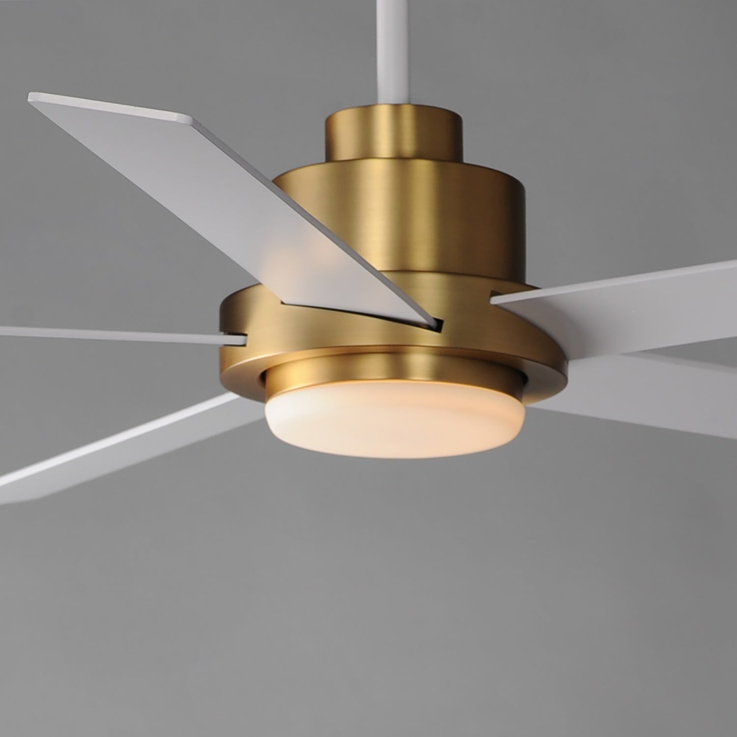 MAXIM, DAISY-INDOOR CEILING FAN, INDOOR CEILING FAN