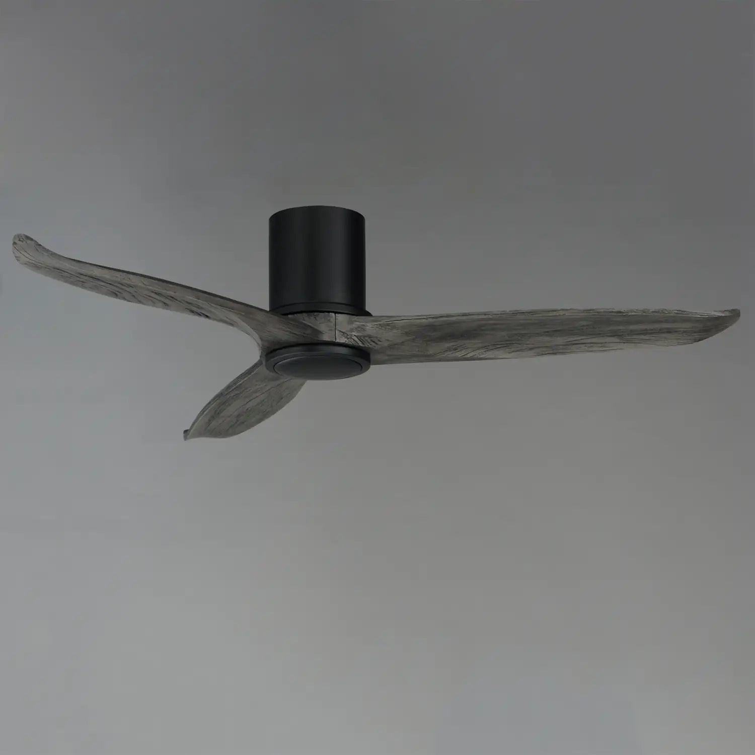 MAXIM, Woodwind Solid Wood Blade Fan LED, OUTDOOR CEILING FAN