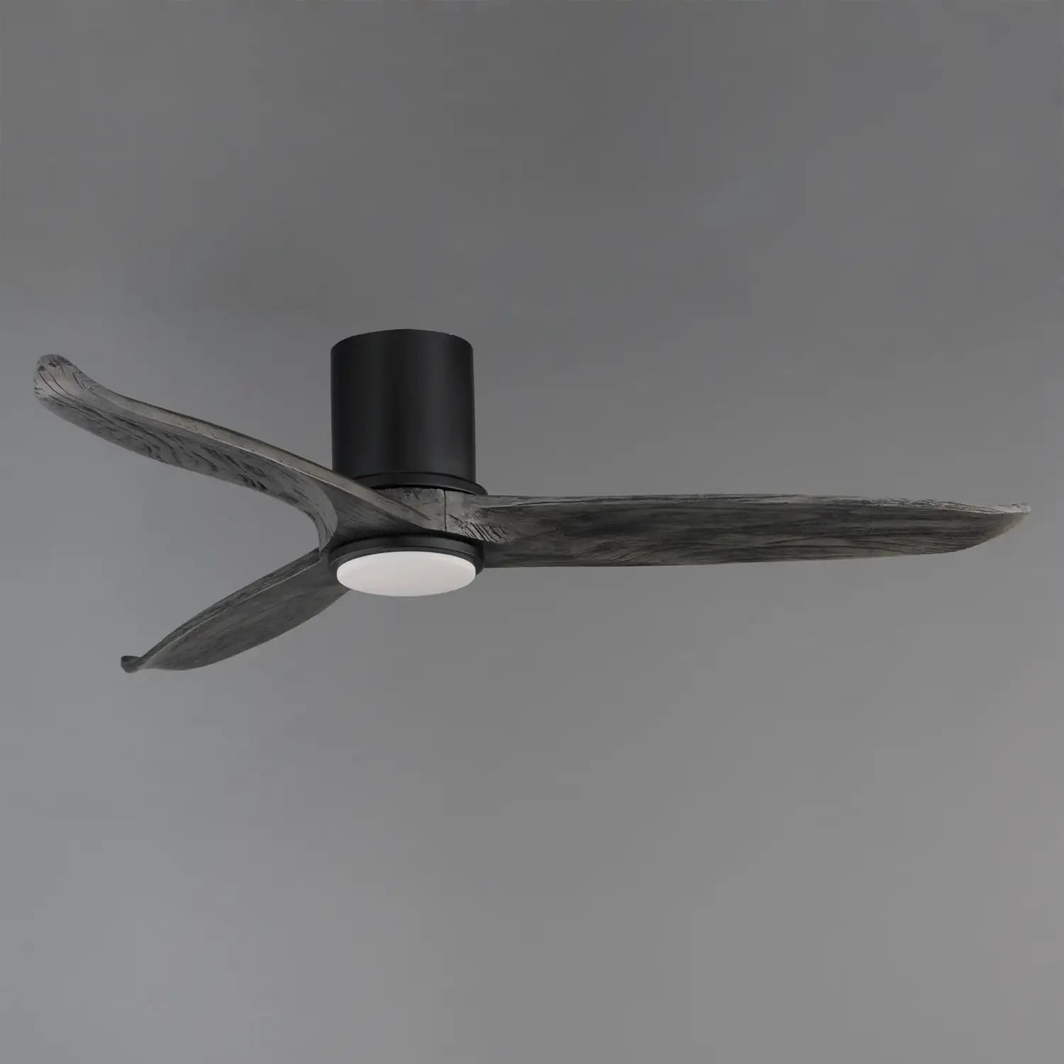 MAXIM, Woodwind Solid Wood Blade Fan LED, OUTDOOR CEILING FAN