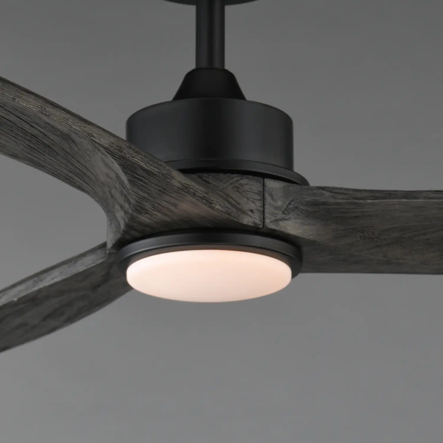 MAXIM, Woodwind Solid Wood Blade Fan LED, OUTDOOR CEILING FAN
