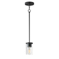 MAXIM, Lateral Pendant, PENDANT LIGHT