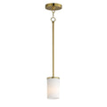 MAXIM, Lateral Pendant, PENDANT LIGHT