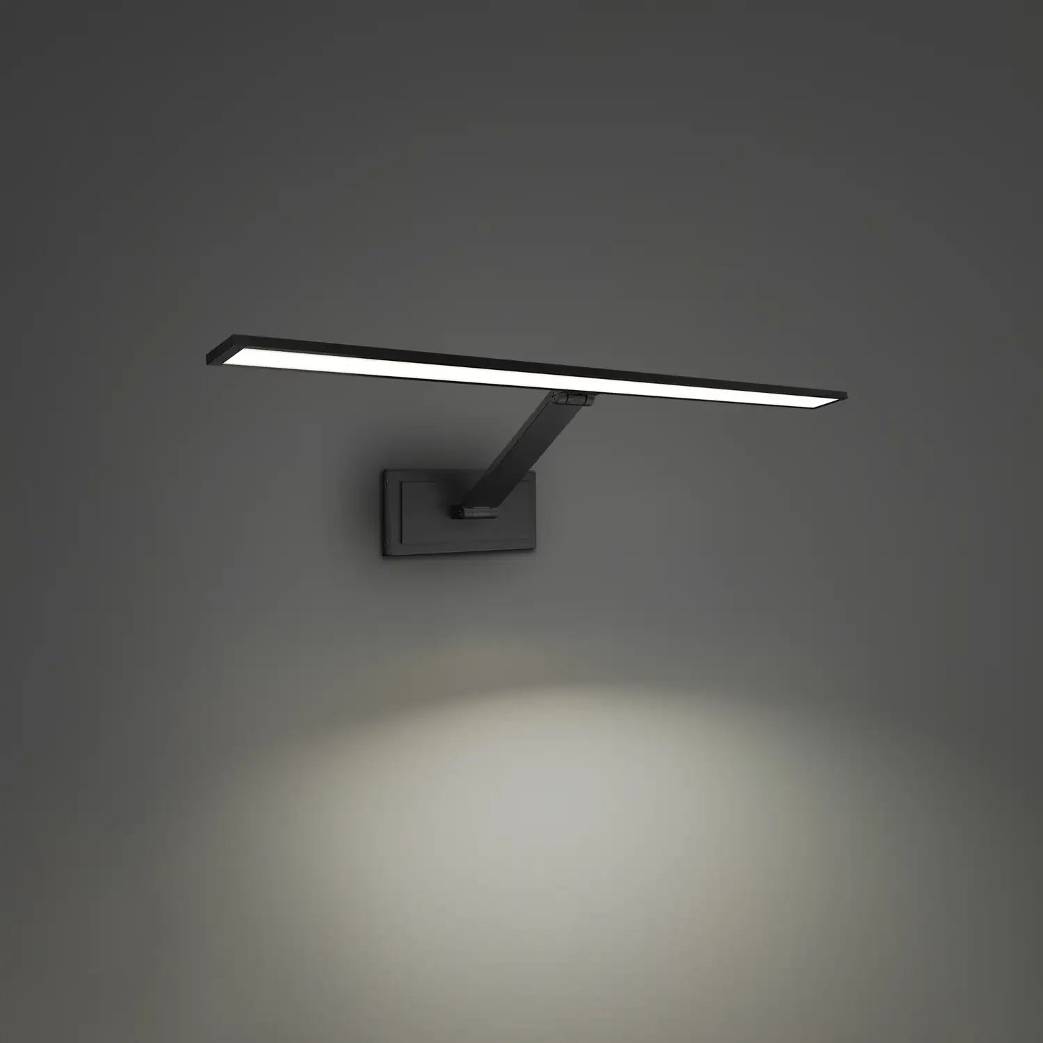 MODERN FORMS, DIVER PICTURE & DISPLAY LIGHT, PICTURE LIGHTS