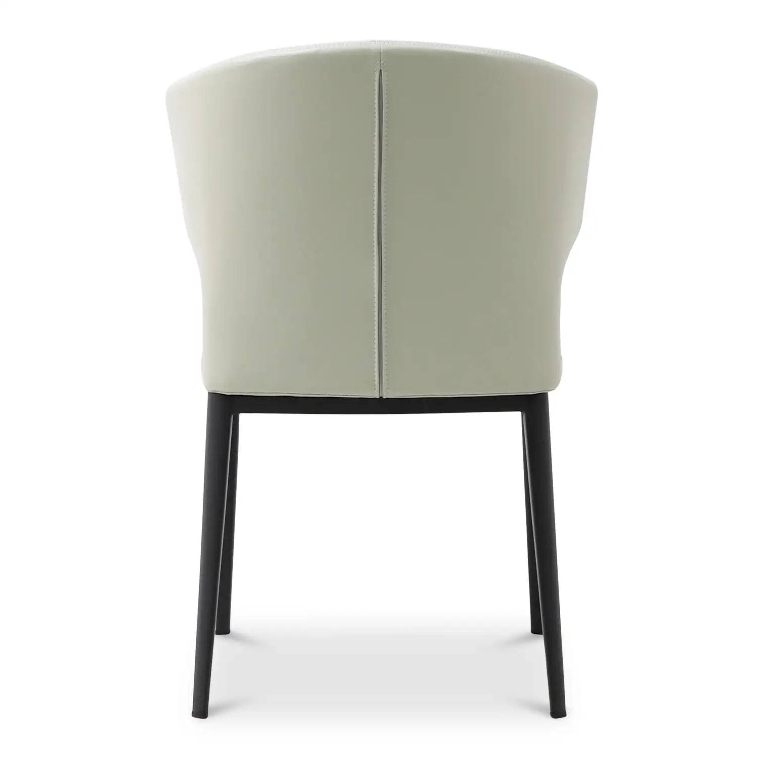 MOES, DELANEY DINING CHAIRS - SET OF TWO, DINING CHAIRS