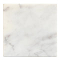MOES CORA TABLETOP ACCENTS - Decorative Accents