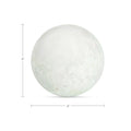 MOES ODESSA TABLETOP ACCENTS - Decorative Accents
