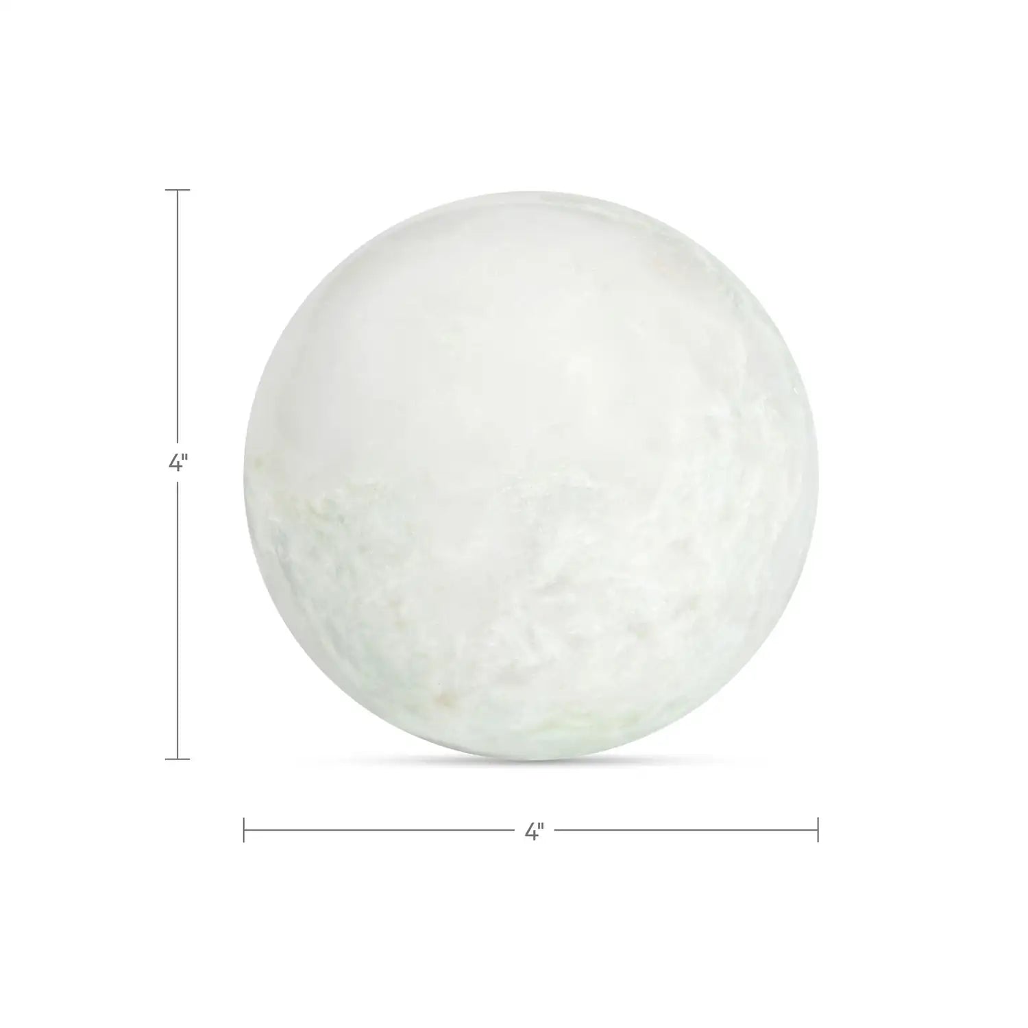 MOES ODESSA TABLETOP ACCENTS - Decorative Accents