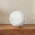 MOES ODESSA TABLETOP ACCENTS - Decorative Accents