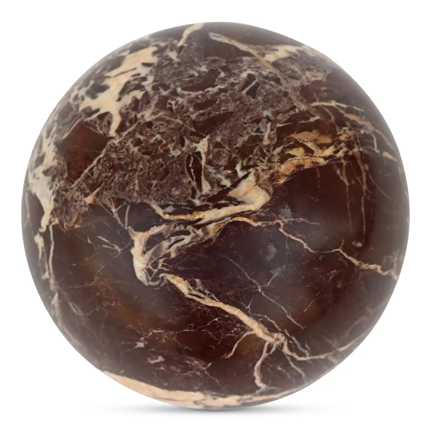 MOES ODESSA TABLETOP ACCENTS - Decorative Accents