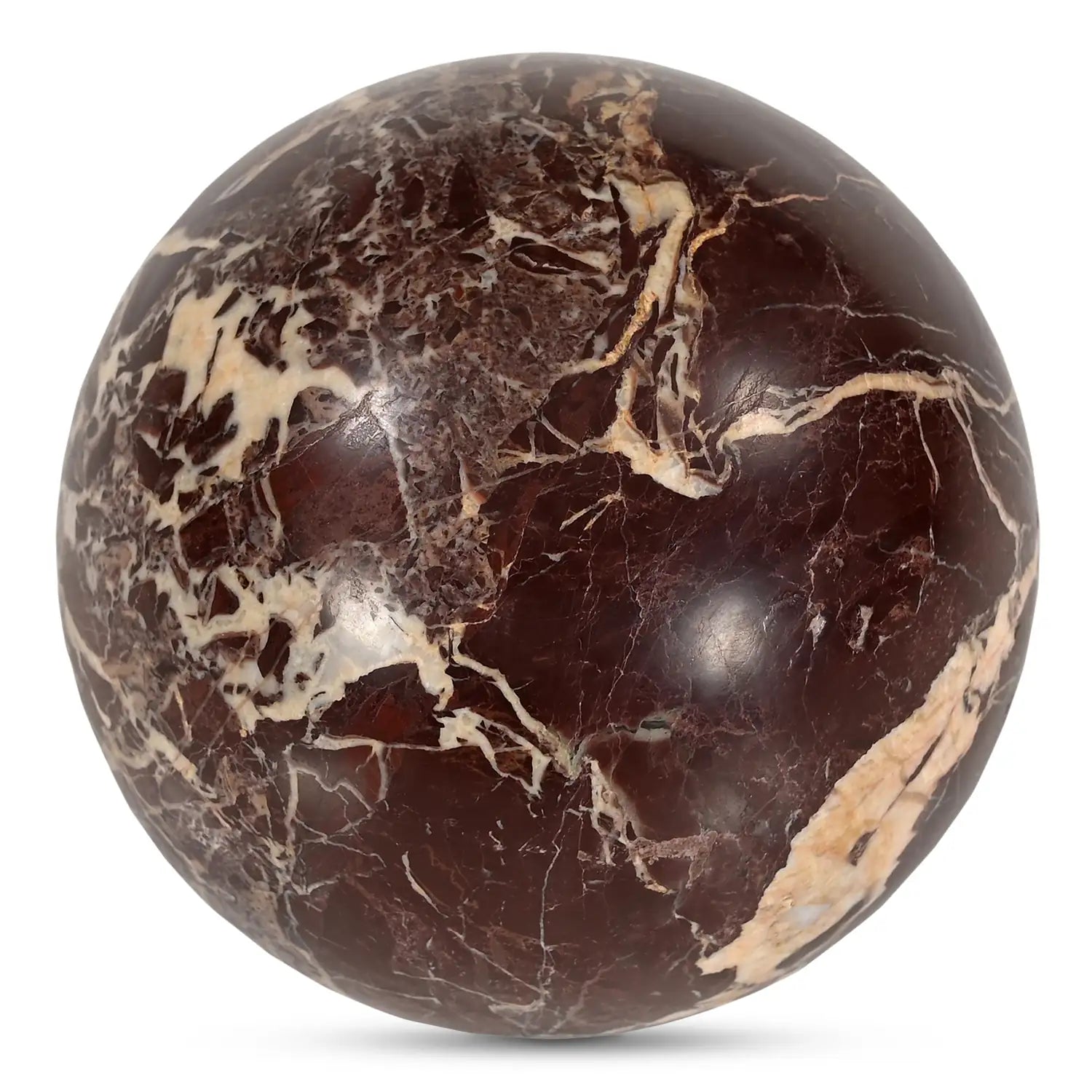 MOES ODESSA TABLETOP ACCENTS - Decorative Accents