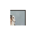 MOES BLUE PAINTINGS - Decorative Accents