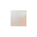 MOES MORNING LIGHT PAINTINGS - Decorative Accents