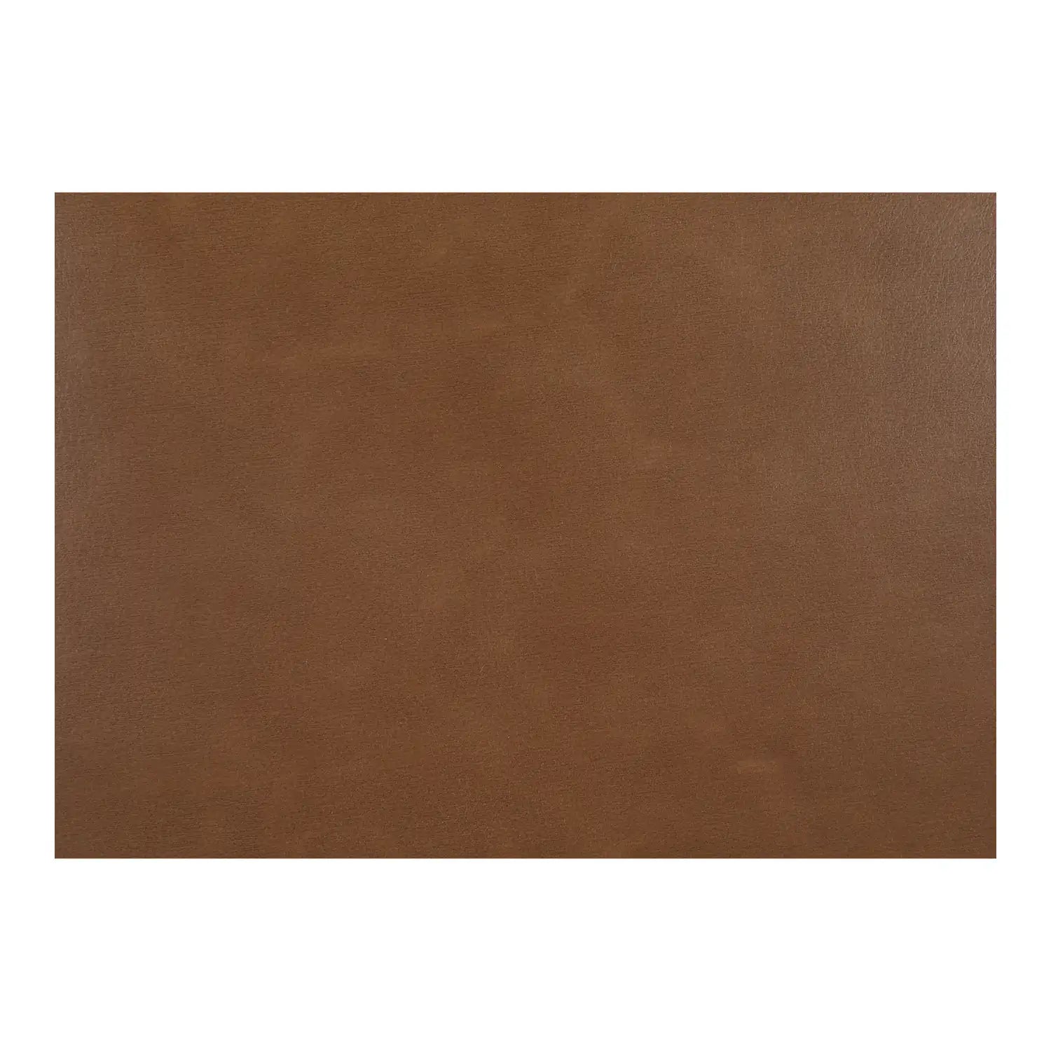 MOE'S HOME COLLECTION ME-1069-03 666dfe76-a6cb-438c-90e3-70e0c6c1a84a