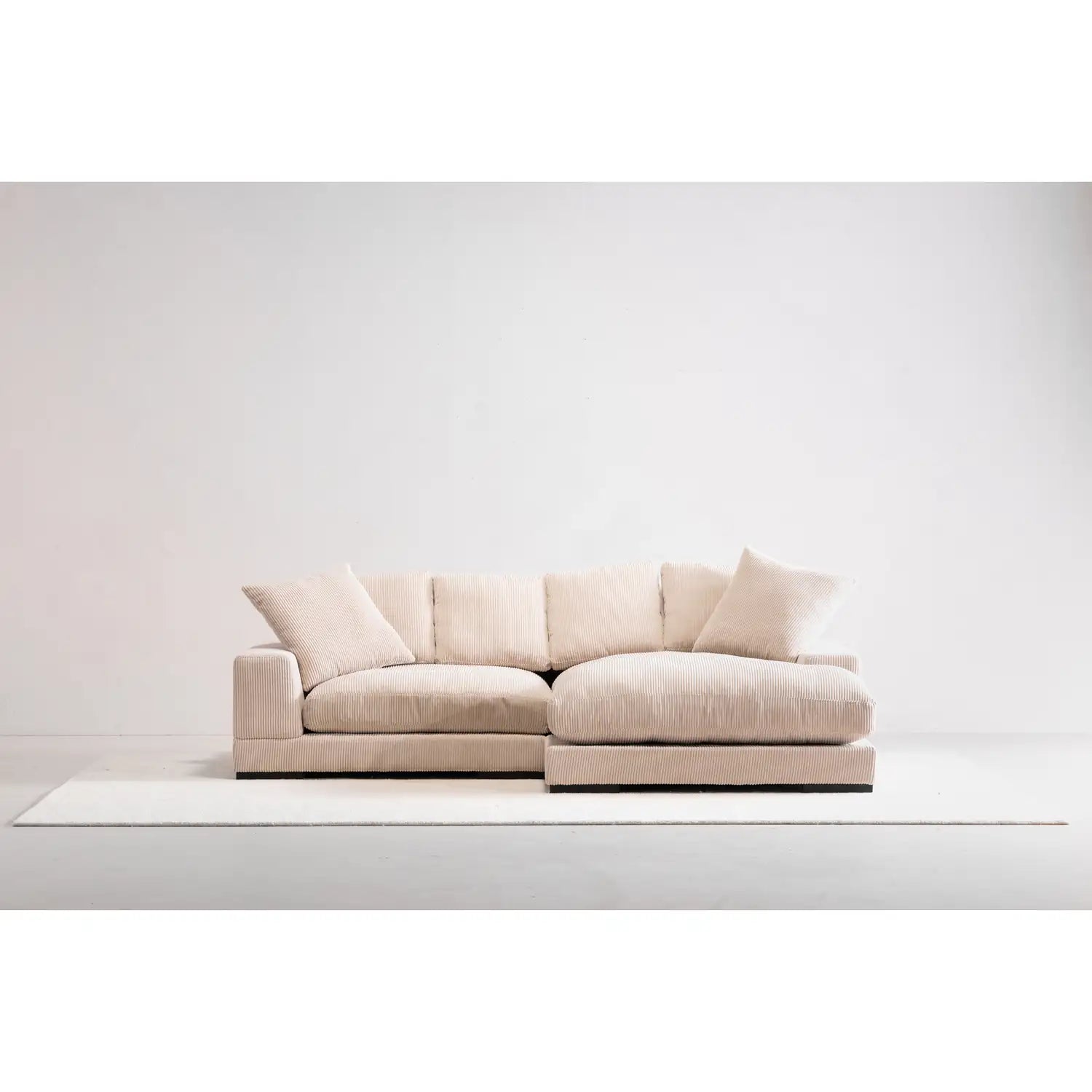 MOES, PLUNGE SECTIONALS, SOFA
