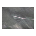 MOES IMPRESSION PAINTINGS - Decorative Accents