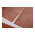 MOES CICI PAINTINGS - Decorative Accents