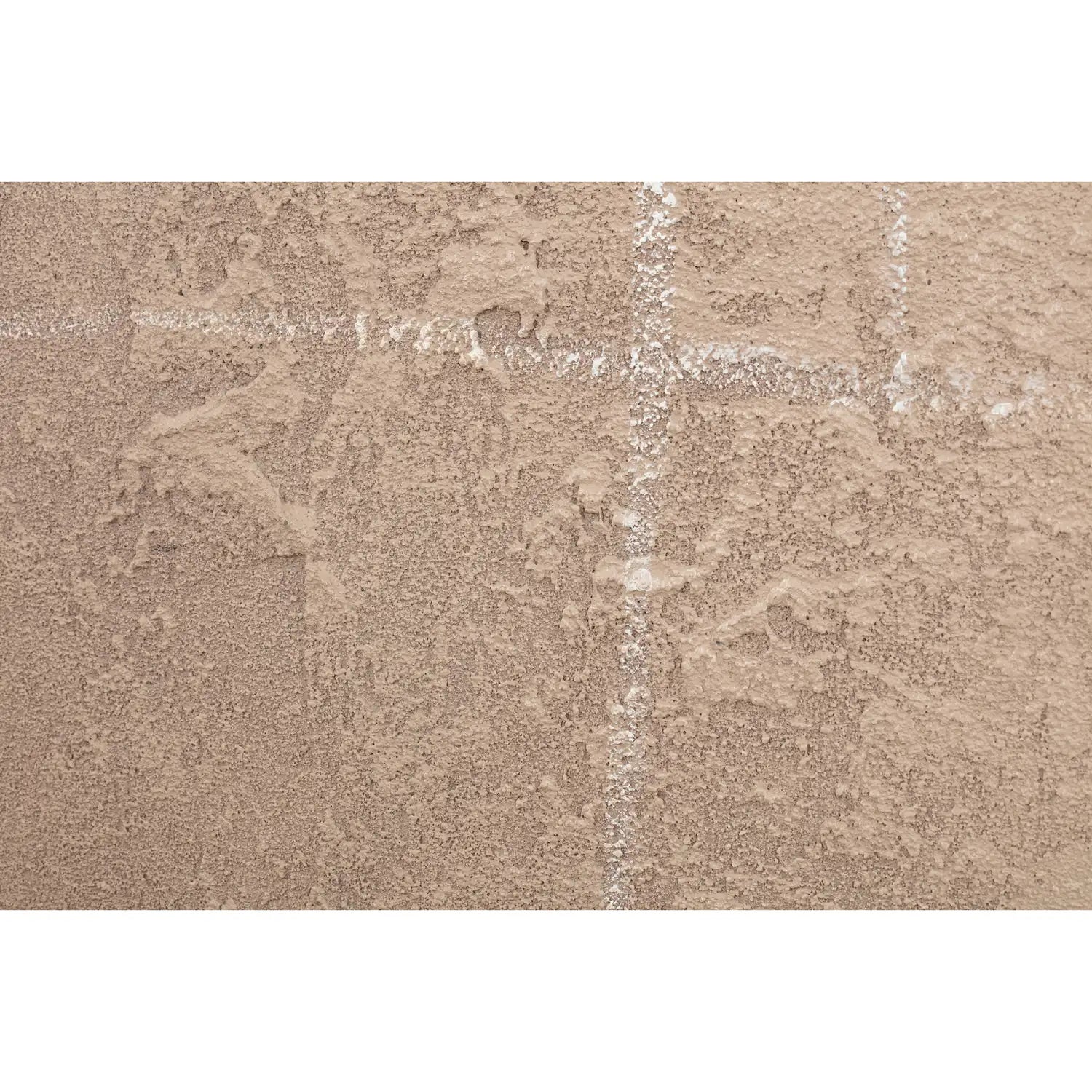 MOES NOTION PAINTINGS - Decorative Accents