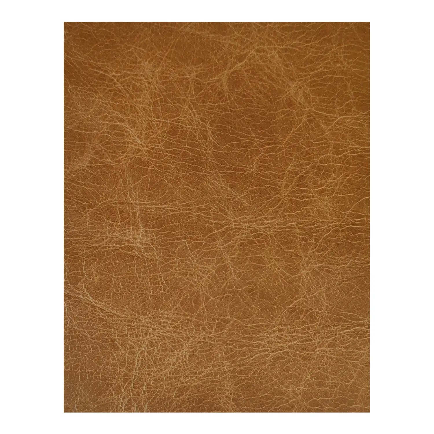 MOE'S HOME COLLECTION XQ-1010-40 30430db8-7cc5-49f0-b663-784122a4733d