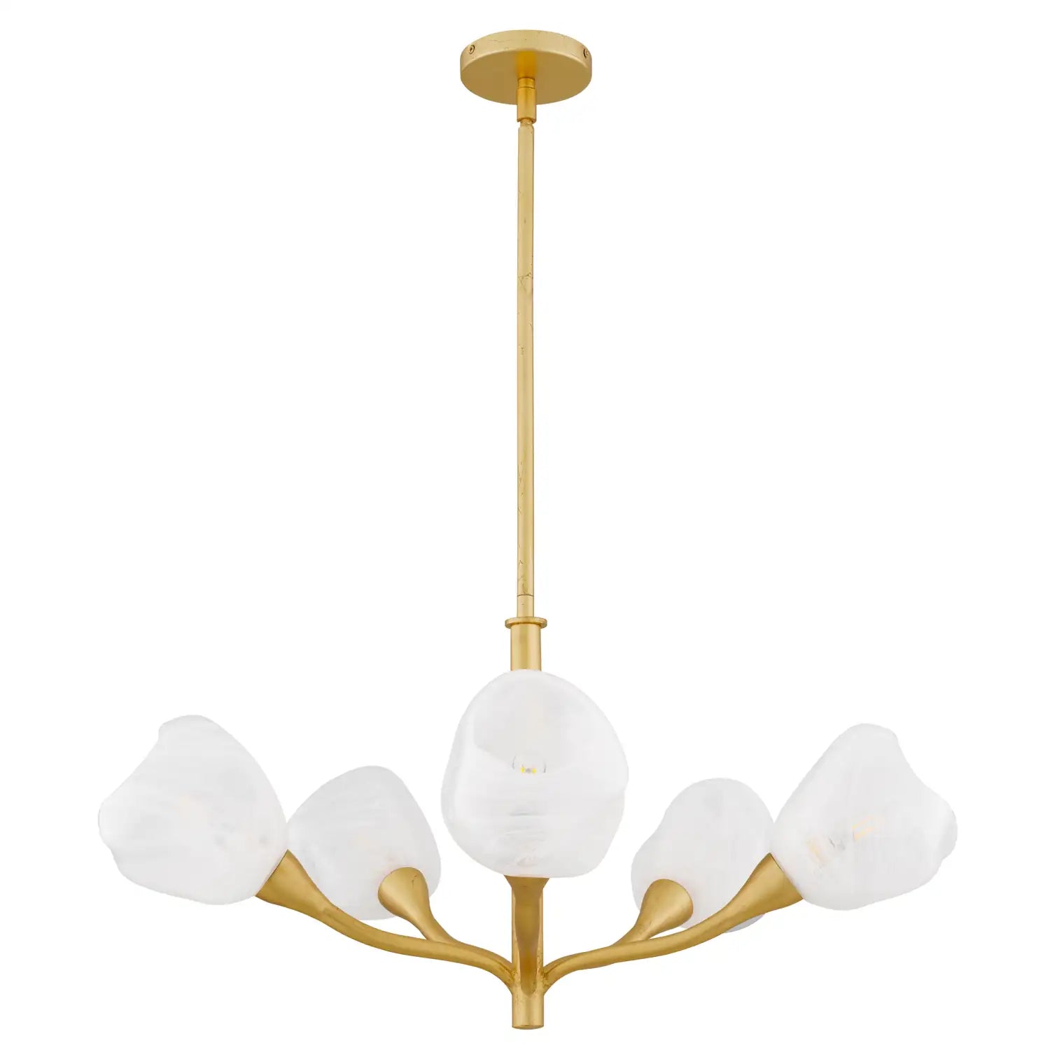 QUOIZEL, ADELYN CHANDELIER, CHANDELIER LIGHT