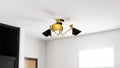QUOIZEL, ARDEN SEMI-FLUSH MOUNT, SEMI FLUSH MOUNT LIGHT