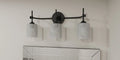 QUOIZEL, ARIA BATH LIGHT, BATH VANITY LIGHT