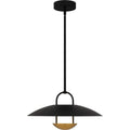 QUOIZEL, BINGHAM PENDANT, PENDANT LIGHT
