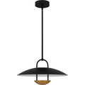 QUOIZEL, BINGHAM PENDANT, PENDANT LIGHT