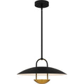 QUOIZEL, BINGHAM PENDANT, PENDANT LIGHT