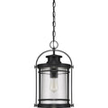 QUOIZEL, BOOKER PENDANT, PENDANT LIGHT
