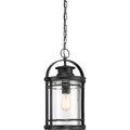 QUOIZEL, BOOKER PENDANT, PENDANT LIGHT