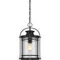 QUOIZEL, BOOKER PENDANT, PENDANT LIGHT