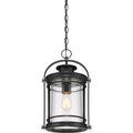 QUOIZEL, BOOKER PENDANT, PENDANT LIGHT