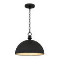 QUOIZEL, BRAYLON PENDANT, PENDANT LIGHT